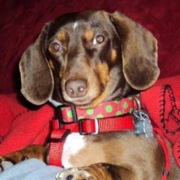 Meet your Posher, Rhonda - Picture 1 of 1